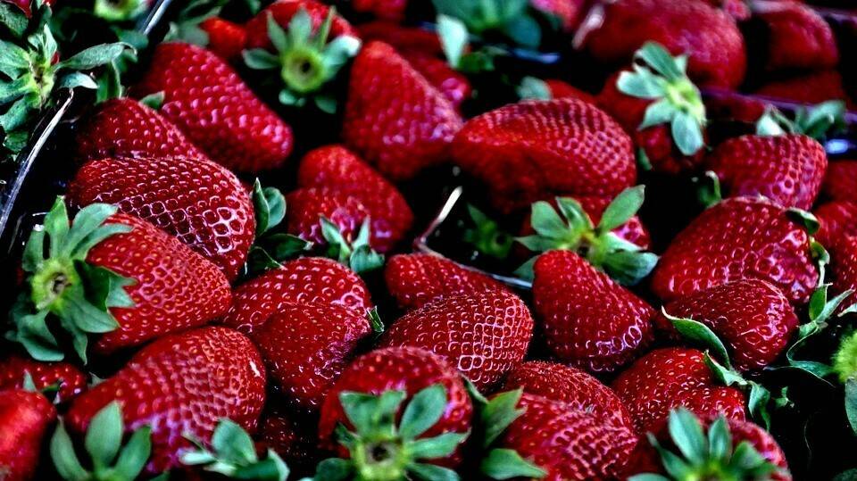 strawberry-629180_960_720|csm_1451_Bild_aus_Video_2_fdfa46a137